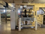 Hayssen Yamato Combination Scale with Sorting Equipment - Bucket Elevator