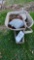 Wheelbarrow
