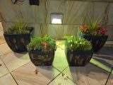 Planters bid x 4