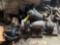 Assorted Motors