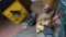 Decorative dog statues, cat Crossing sign lot