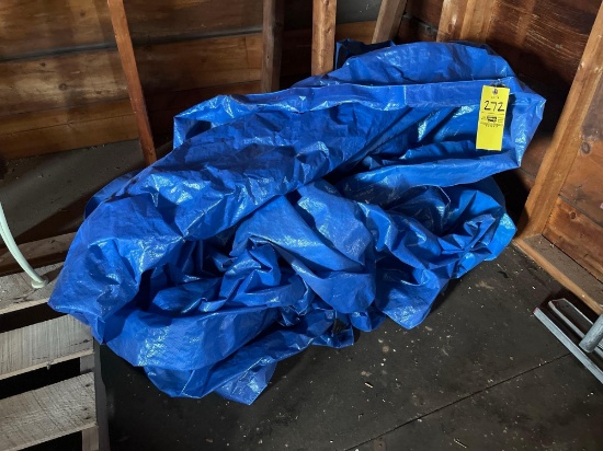 Tarp