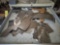 Drawer Contents - Metal Shims