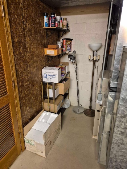 Metal Shelf & Contents - Paints, Sprays, Lightbulbs, Floor Lamps, & more