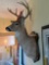 14 Point Whitetail Deer Mount With back Scratchers