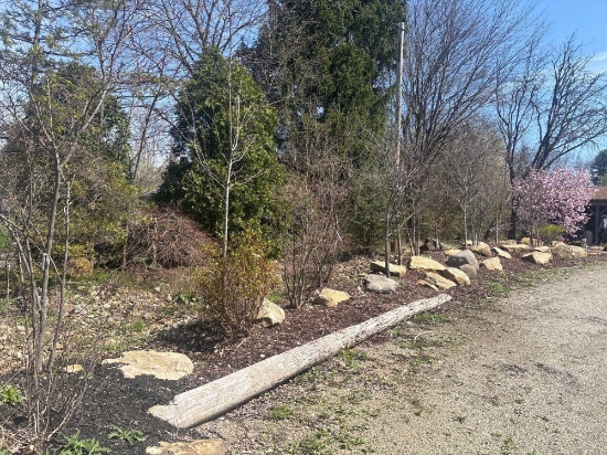 Row of Trees