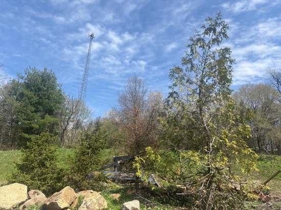 Assortment of Trees