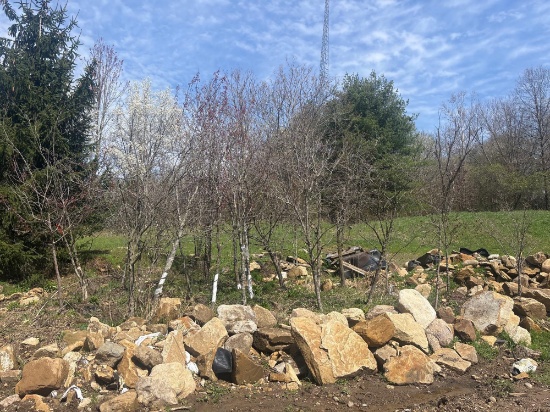 Assortment of Trees