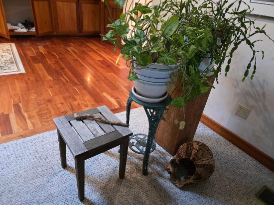 Plants, Stands, Basket