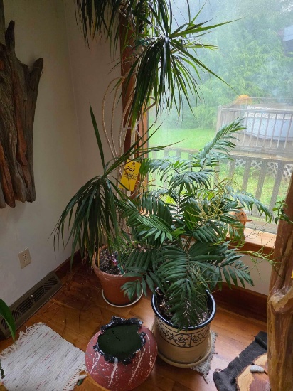 Plants Planters