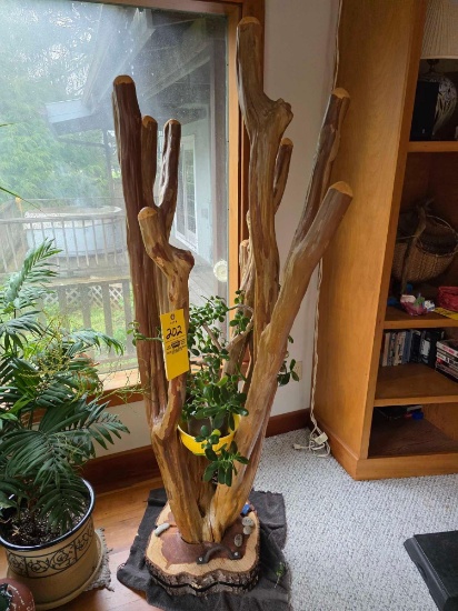 Wood Planter, Plant