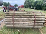 100 PCS 7Ft Treated 3-4