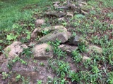 Sand Stone