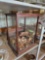 Wooden Doll Display