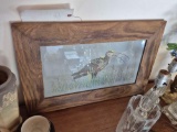Scott Signed Framed Bird Print