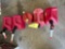 (5) gas cans