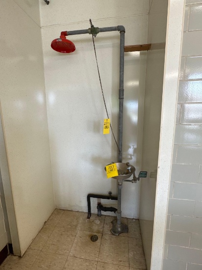 Chem Lab Water Shower Hand Station - Rm 1109