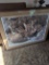 C Brends 1989 pencil signed and numbered Fox print