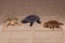 3 Miniature Folk Art Turtles