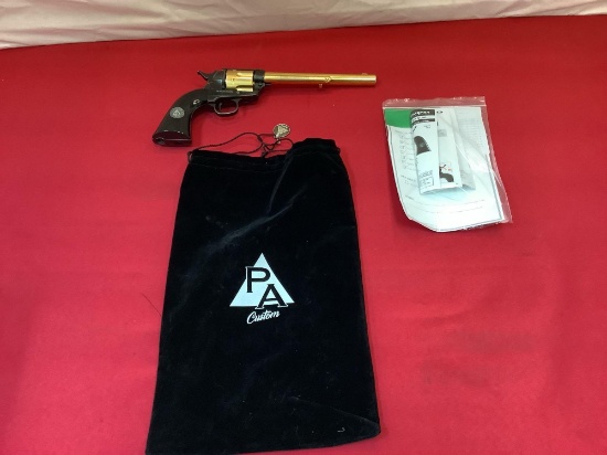Umarex PA Custom Air Pistol