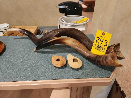 Ram Horns From Israel