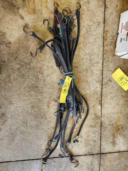 Bungee Straps