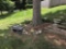 Cement bench and planter urn