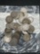 (50) mint marked Barber dimes