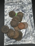 (15) pre 1900 Indian Head Pennies