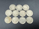 Buffalo Nickels Assorted Dates bid x 11