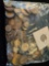 Lot of foreign coins