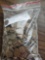 Wheat cents, bid x 2000