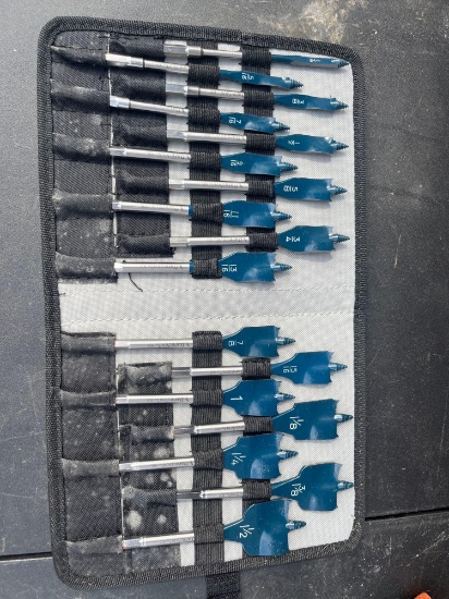 Bosch Daredevil Spade Bit Set