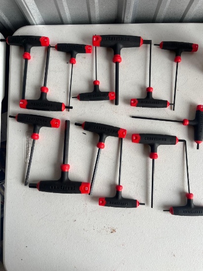 Craftsman Allen Set