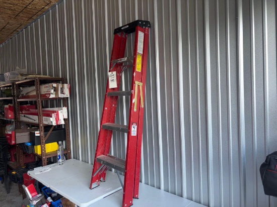 Werner 5ft Ladder