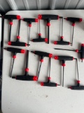 Craftsman Allen Set