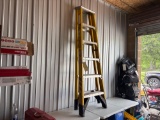 Werner 6ft Step Ladder