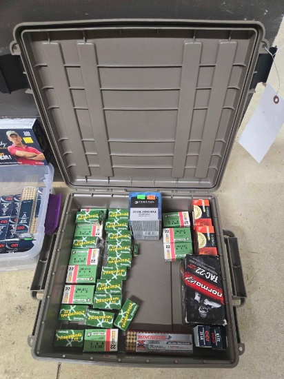 Assorted .22 cal Ammo w/ Case