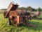 Kelly Ryan Big Bagger 8ft mod. 2W-02