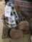 Delta shopmaster disc sander