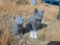 2 Small Concrete Cat Statuettes