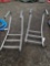2 pool ladders
