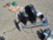 Fan, Vacuum, Reptile Container, & Small Heater