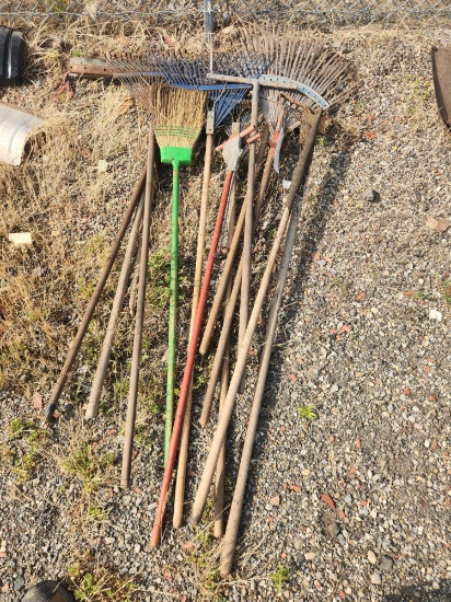 Yard Rake Assortment