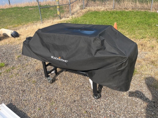 Blackstone Outdoor Flat Top Propane Grill