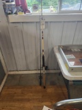 Penn Special Senator Fishing Rod & Darwa Apollo Fishing Rod