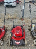Troy-Bilt Lawnmower unknown condition
