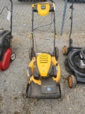 Cub Cadet Lawnmower unknown condition