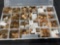 Large Lot of Assorted Pennies