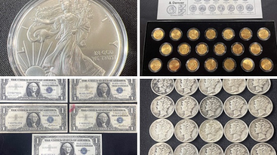 Huge Private Coin Collection 24088 - Gabe